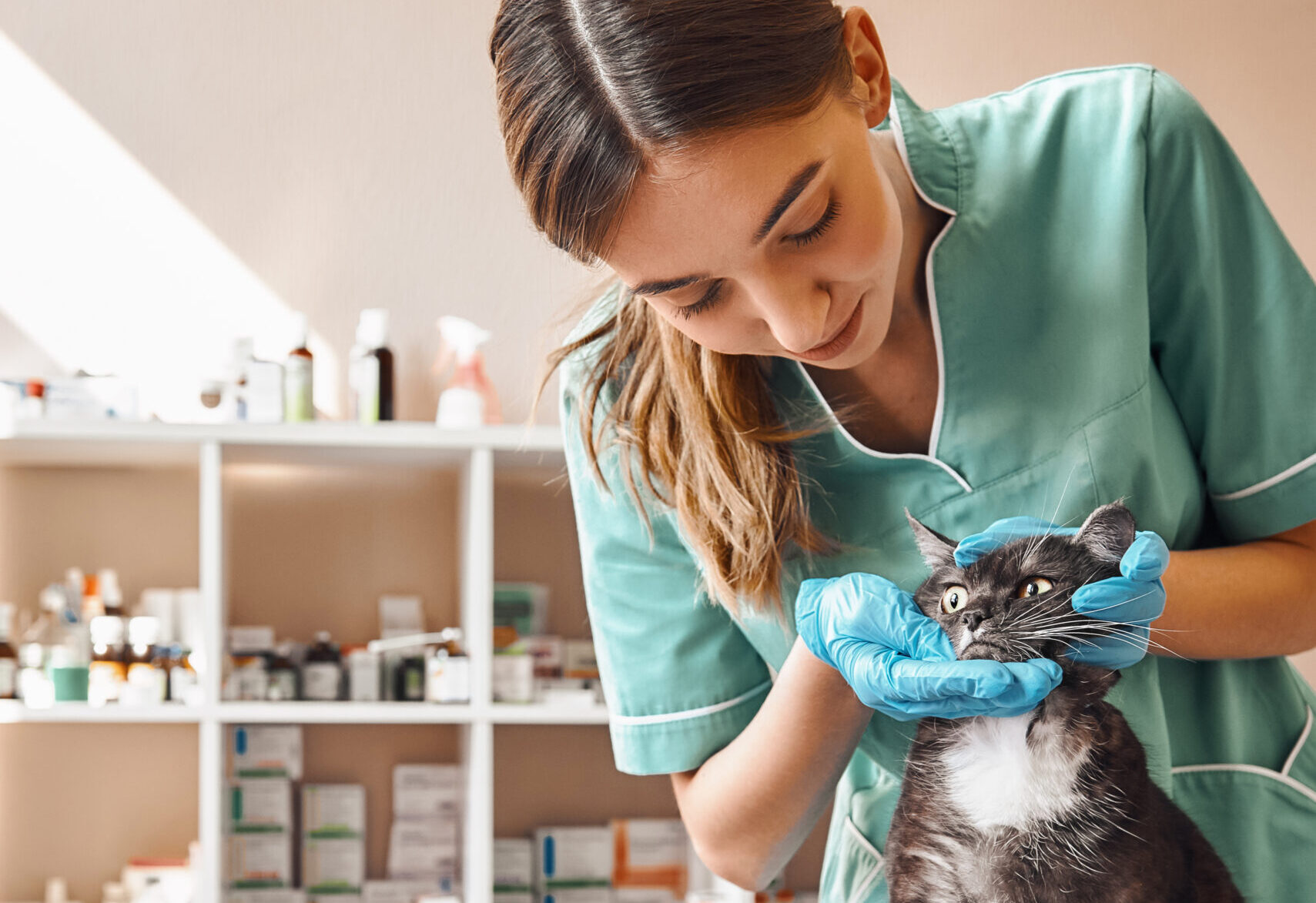 veterinário