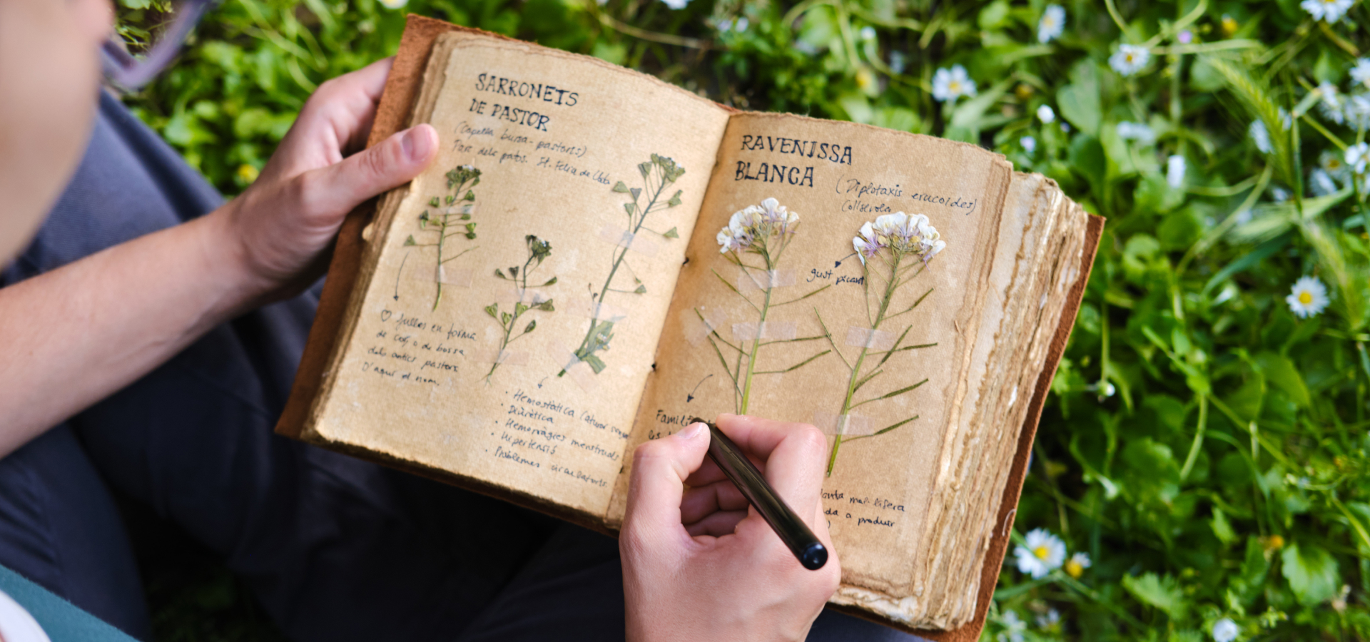 Casas na Quinta: Writing a book