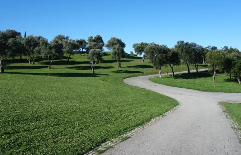Parque da Bela Vista