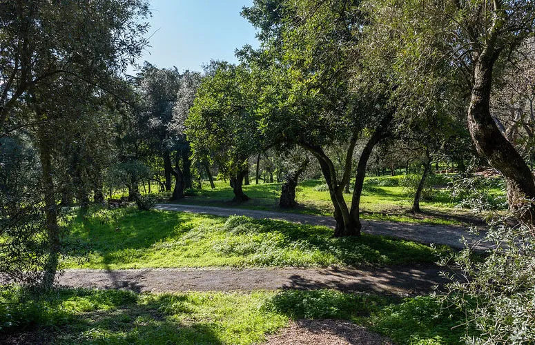 Parque José Gomes Ferreira