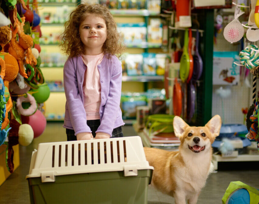 Lojas pet friendly